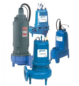 Goulds Submersible Pump