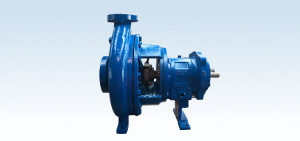 ansi-standard-pump-image-300x141